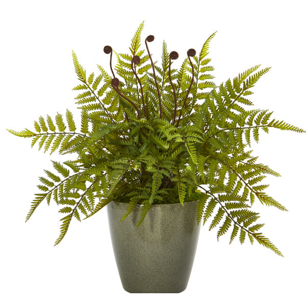 Gracie Oaks Faux Fern Plant in Planter Wayfair